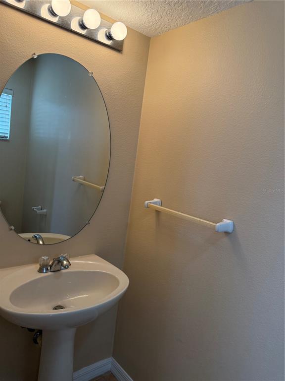 Building Photo - 113 Fern Springs St