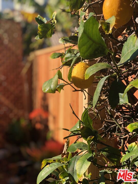 Building Photo - 35-35 Dudley Ave