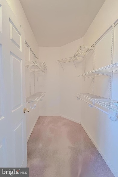 Building Photo - 4200 Mozart Brigade Ln