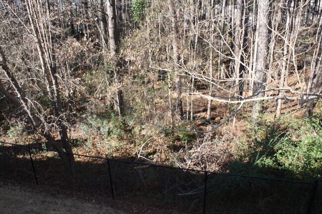 Building Photo - 2939 Stonecrest Ln