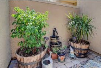 Court Yard and Patio - 8856 Sutter Cir