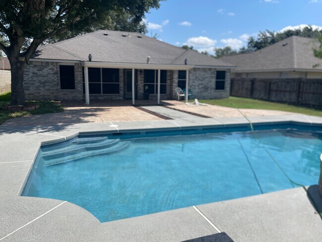 Backyard - 3917 Orchid Ave