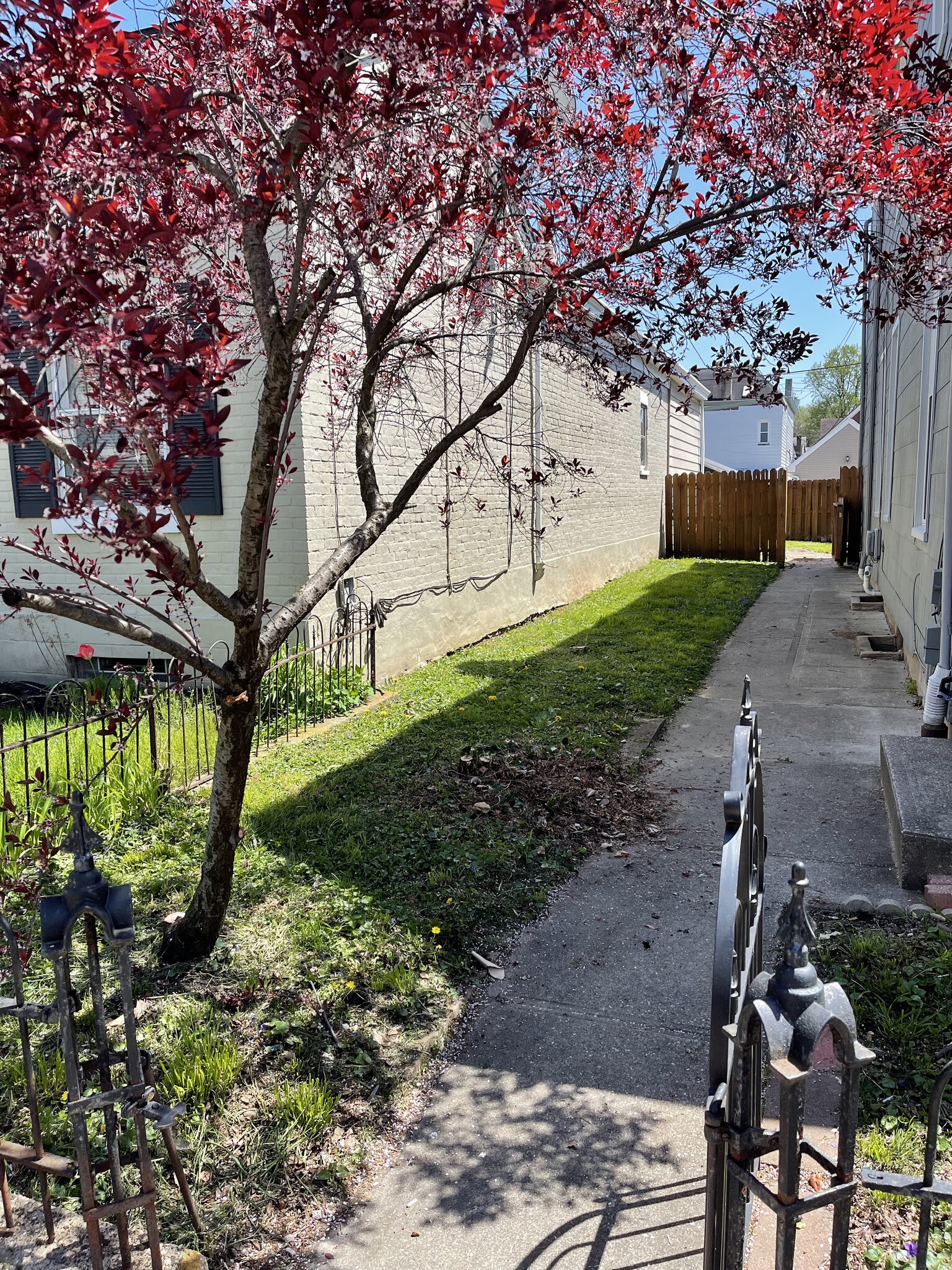 Professional landscaping is included with your monthly rent. - 308 Center St