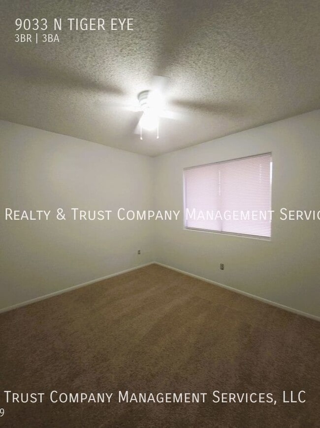 Building Photo - 9033 N Tiger Eye Way