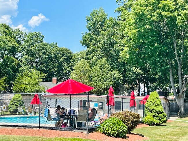 Swimming pool - 68 Preston St