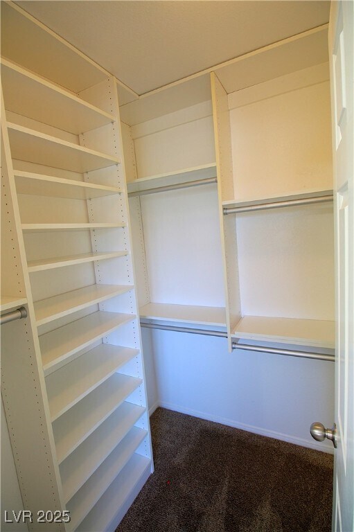 Building Photo - 925 Blushing Rose Pl