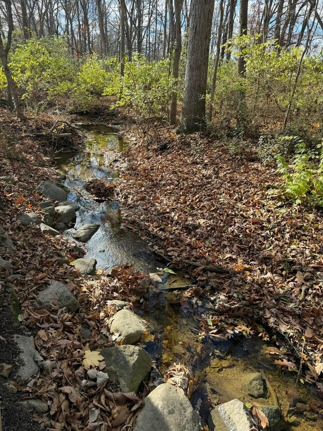 Building Photo - 8735 Olenbrook Dr