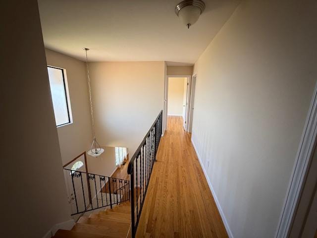 Building Photo - 1333 Tarpon St