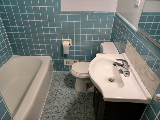 Hall bath - 1303 Skyline Dr