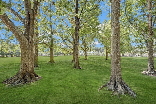 Building Photo - 15127 Trumpet Vine Ln