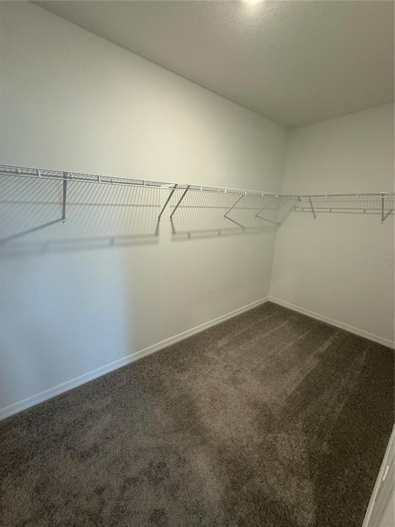 Building Photo - 4461 Cozy Condor Ct