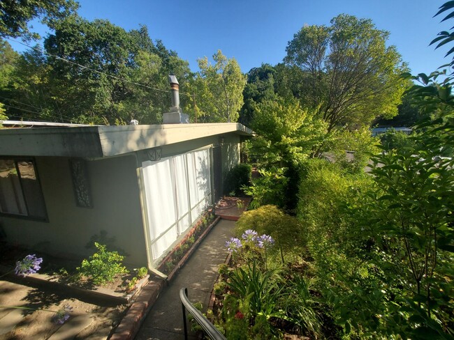 Building Photo - San Anselmo "French Country" Style Cottage