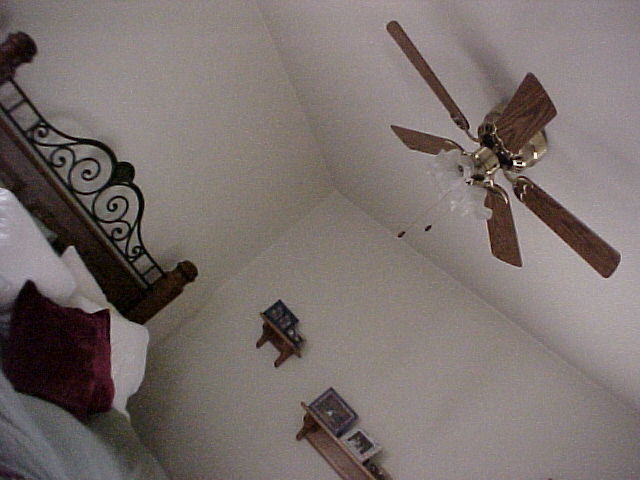bedroom ceiling fan, ceiling fan heaven in 3 of 4 rooms - 1302 N 58th St