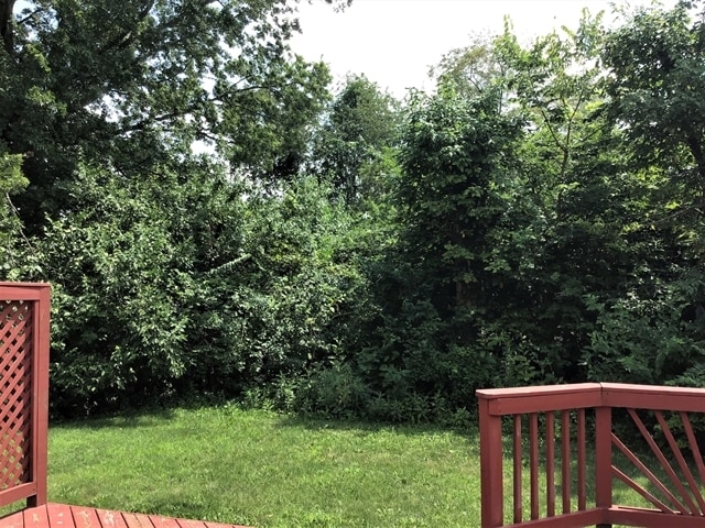 Building Photo - 2092 Meadowlark Ln