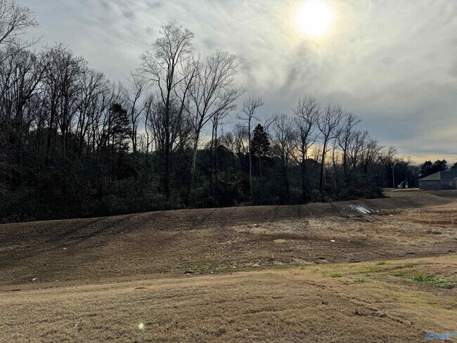 Building Photo - 28598 Halford Dr