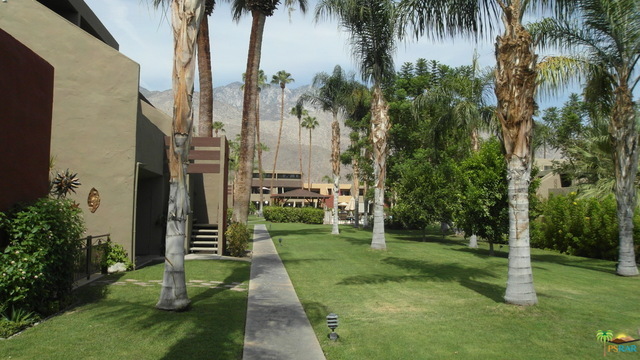 Building Photo - 1655 E Palm Canyon Dr