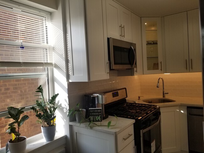 Building Photo - 10537 64th Ave