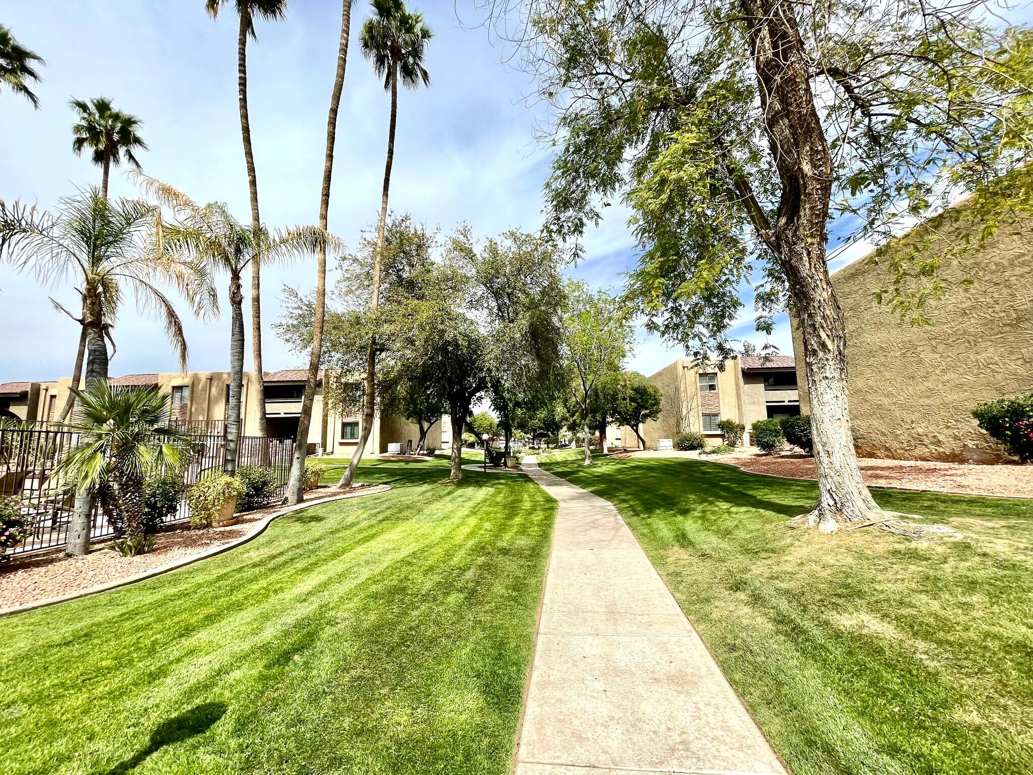 Building Photo - 3825 E Camelback Rd