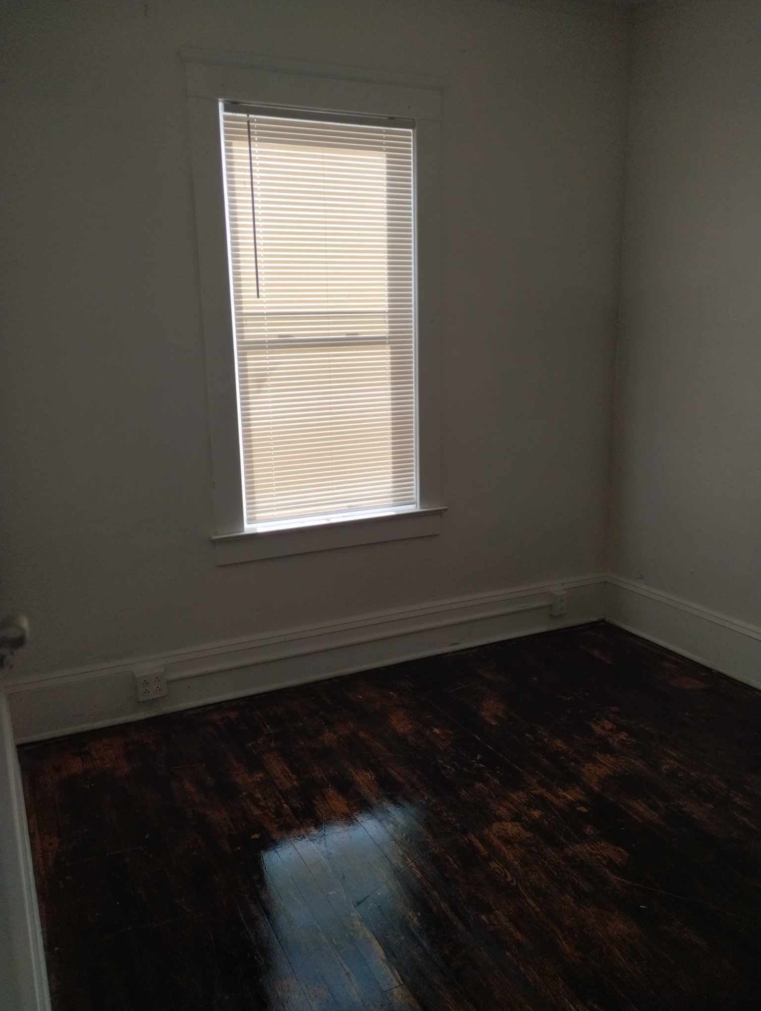 Building Photo - 1527 Jackson St