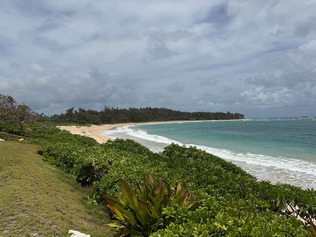 Building Photo - May to October ocean front 2/2 rental