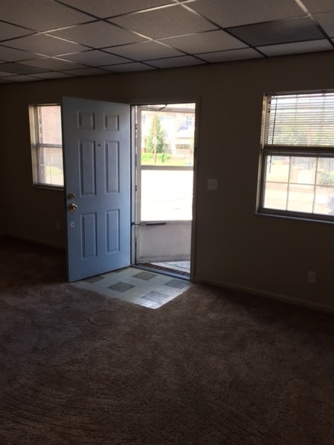 Primary Photo - One Bedroom One Bath Apartment in Charleston