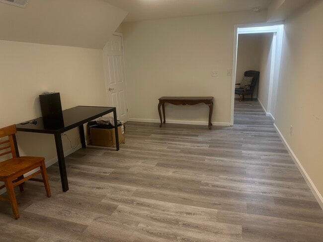 Living area basement - 209 Wilmer St