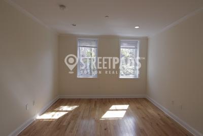 Primary Photo - 1 bedroom in Cambridge MA 02138