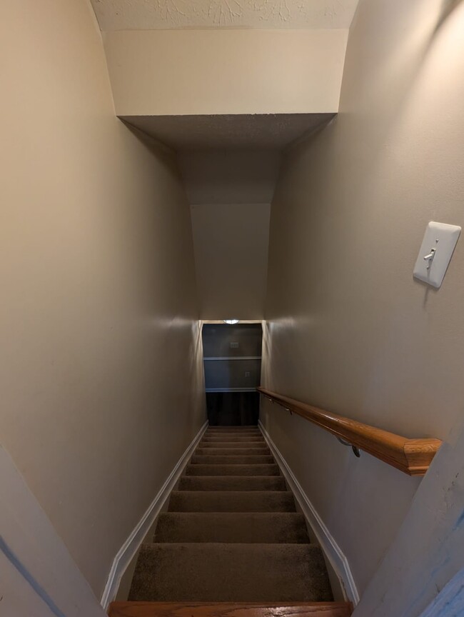 Stairway leading to basement - 12124 Burning Ridge Ct