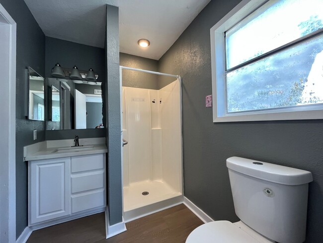Building Photo - 3 BEDROOM 2 BATH WITH BACK APARTMENT