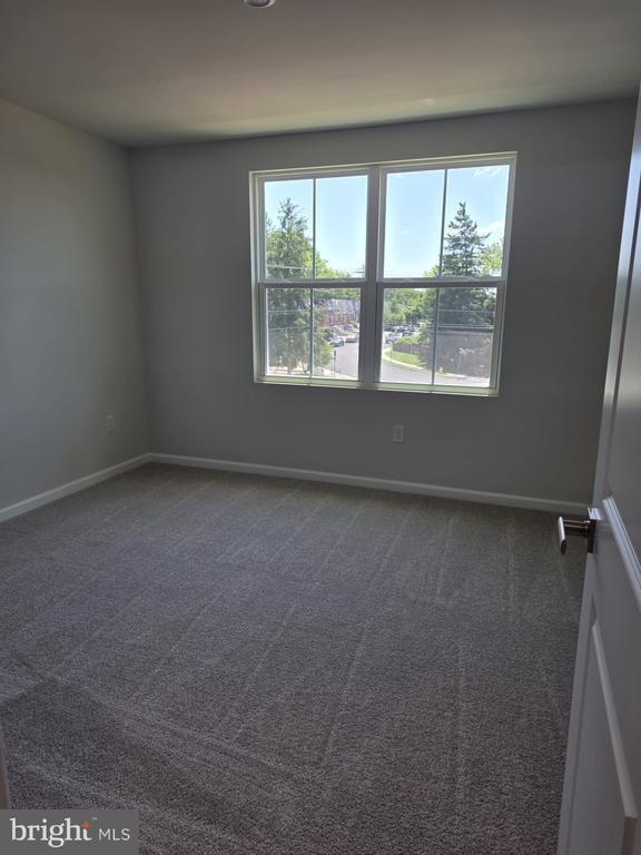 Building Photo - 3704 Sophia Ln