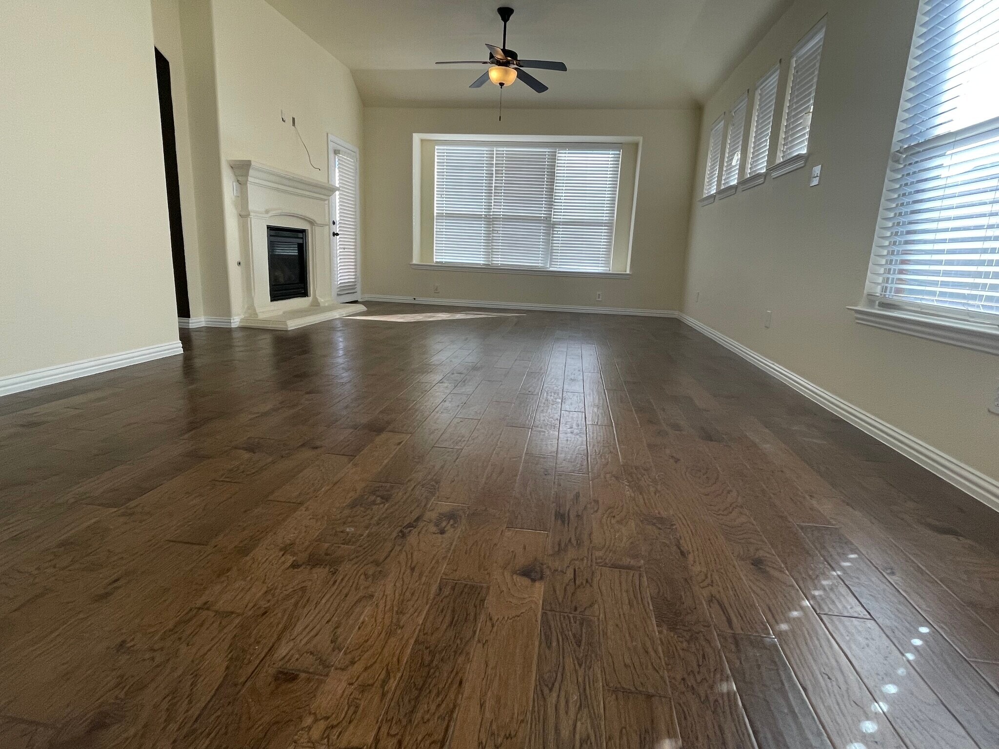 Downstairs living room - 434 Needham Dr