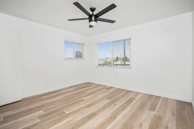 Interior Photo - Narwhal