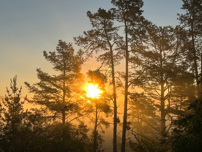 Building Photo - 3600 Bloomfield Rd