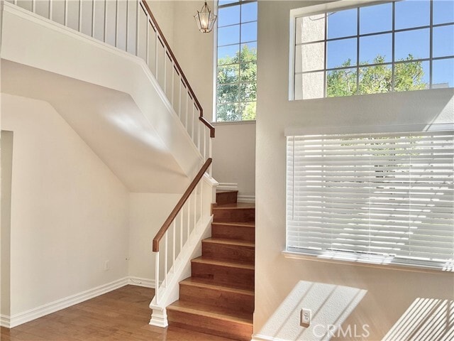 Building Photo - 26161 Owl Ct