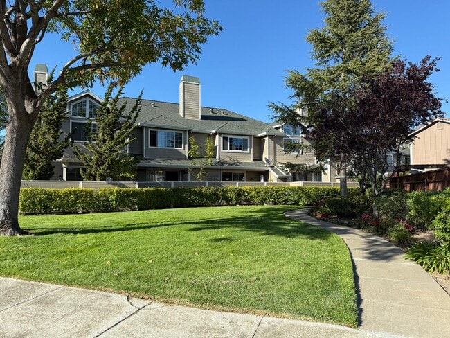 Building Photo - 321 Treasure Island Dr