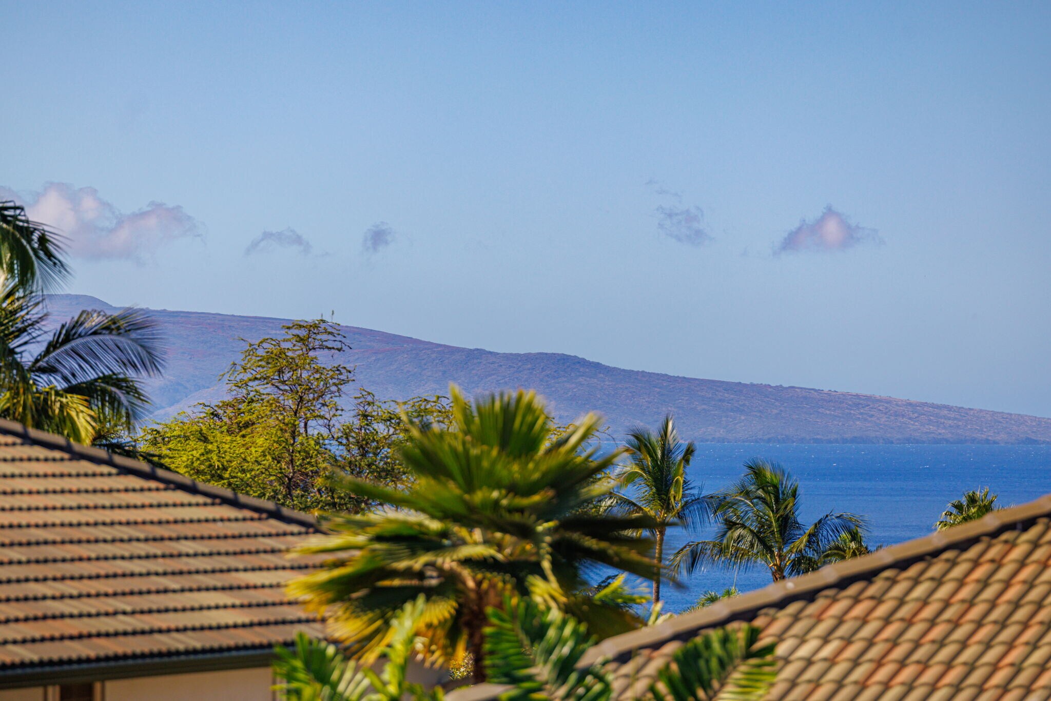 Building Photo - 3950 Kalai Waa St