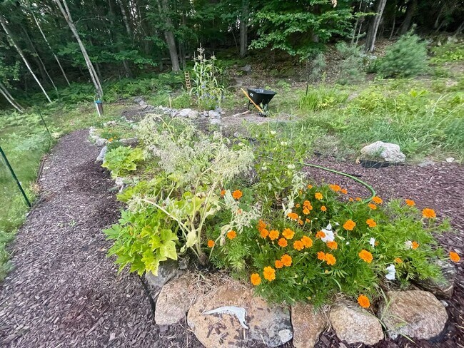 Building Photo - Bright & Airy Home Near Brettun’s Pond – Scenic Views & Modern Comfort