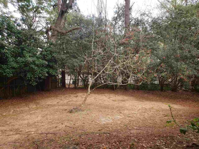 Building Photo - 2413 Tree Top Ct