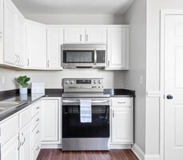 Building Photo - 1113 Maple Tree Ln