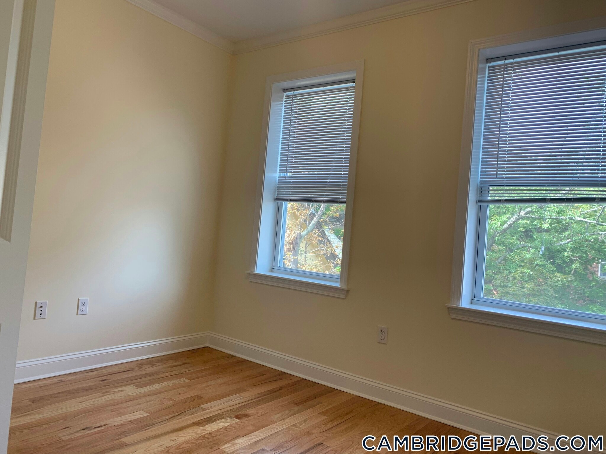 Building Photo - 20 Chauncy St