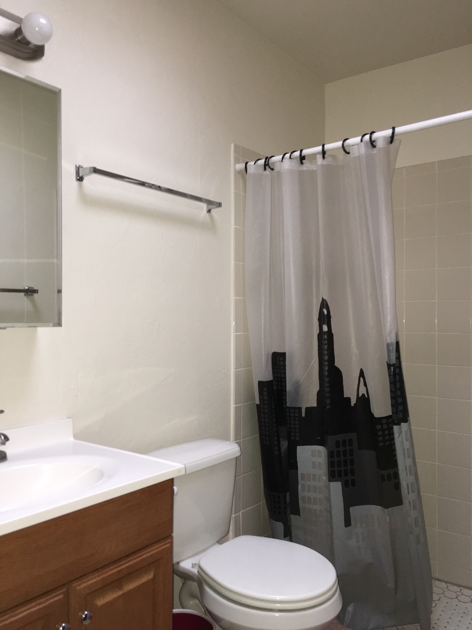 Bathroom #2 - walk-in shower - 702 E Linden St