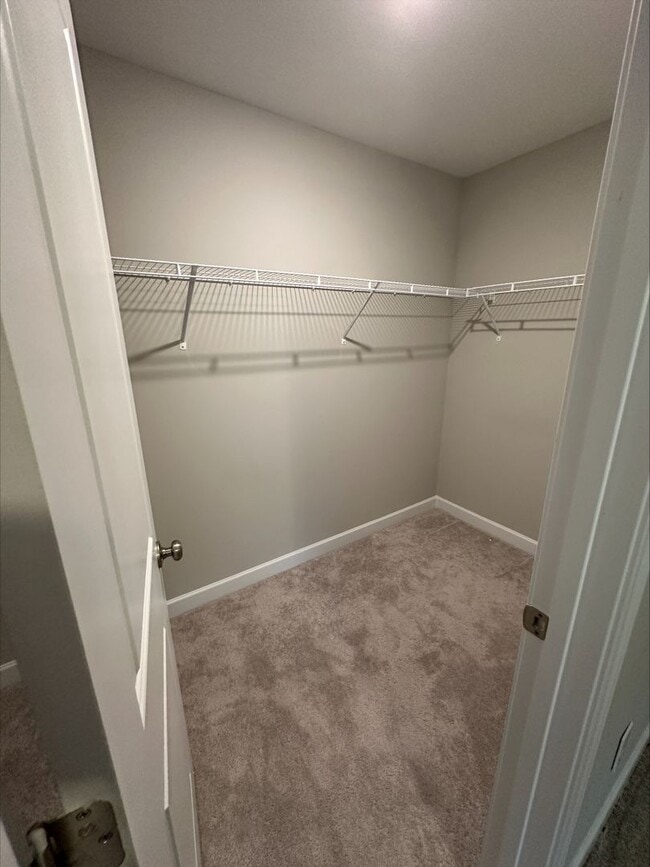 Building Photo - 559 Malachite Ln