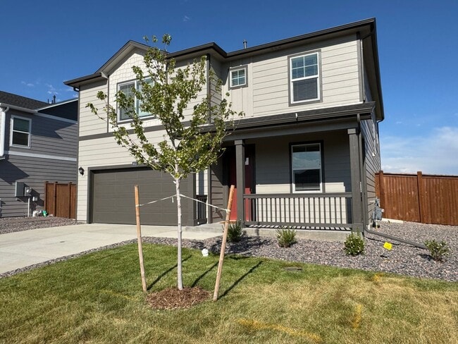 Building Photo - Brand New, Beautiful House-Fort Collins/Wi...