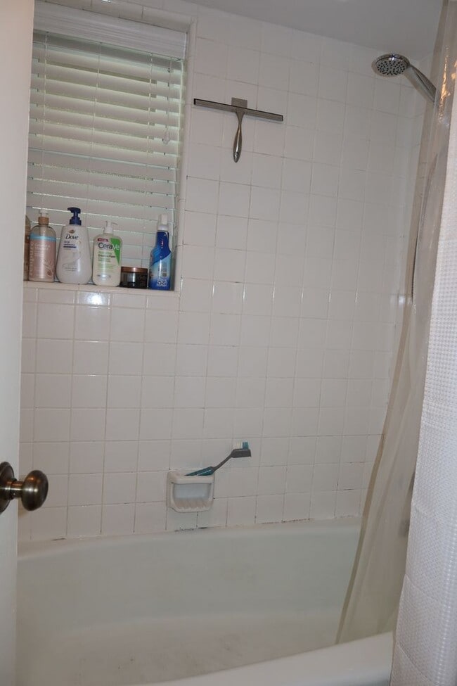 Building Photo - Hyde Park Country Condo - Furnished - 1BD/1BA - Covered Parking -Close to Everything