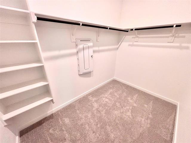 Building Photo - 517 Ml Trce Wy