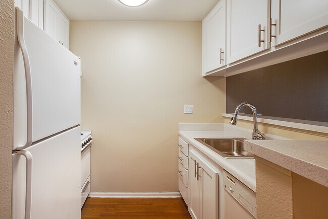 Building Photo - Regency Palm Court