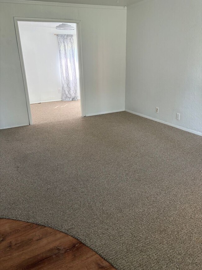 Building Photo - Newly Remodeled Two Bedroom with Sun Room!