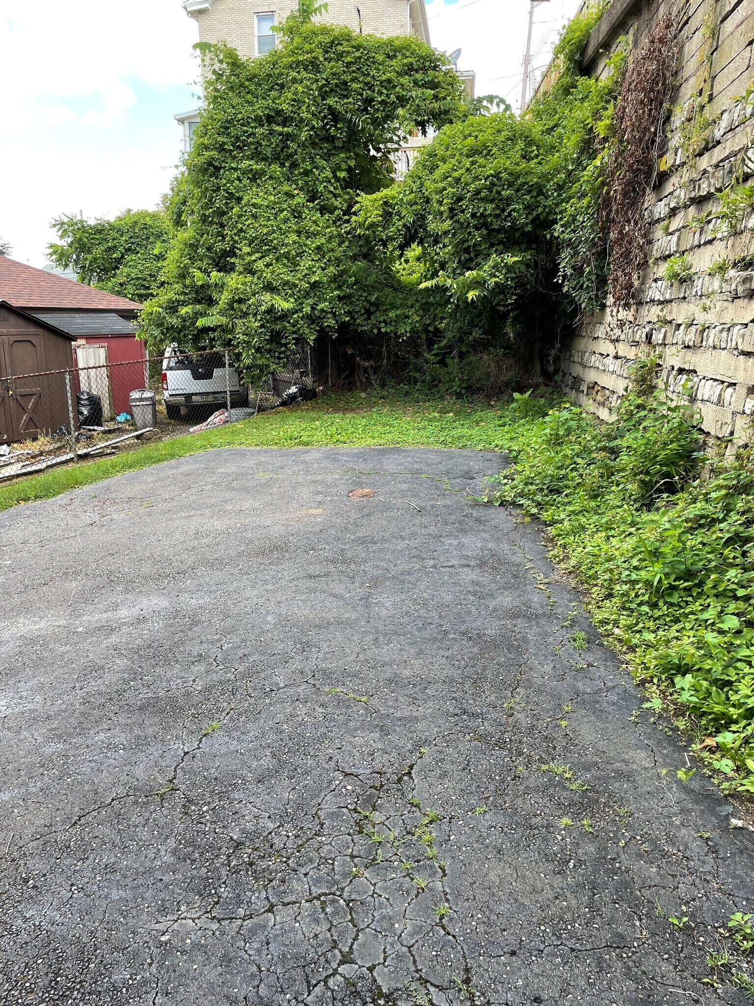 Backyard - 799 Greenfield Ave