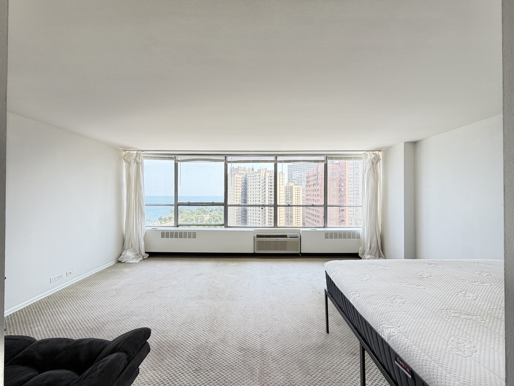 Building Photo - 4800 S Chicago Beach Dr