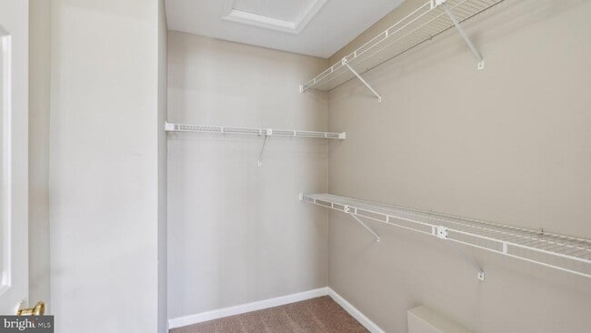 Building Photo - 9304 Witch Hazel Way